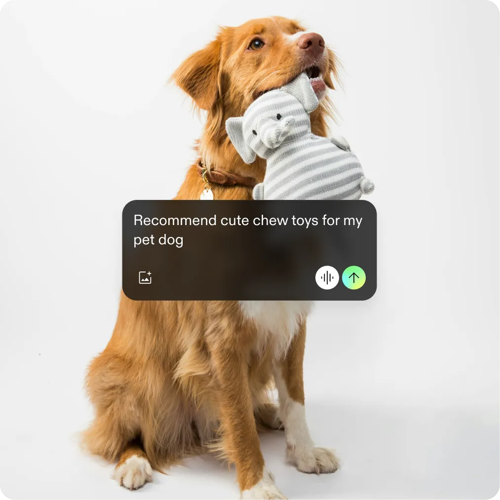 ui image
