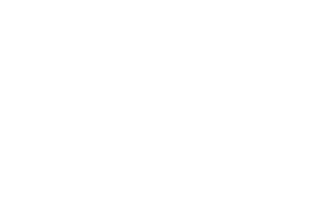 Young Soles logo