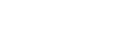 studio nicholson logo