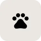 Pet Products