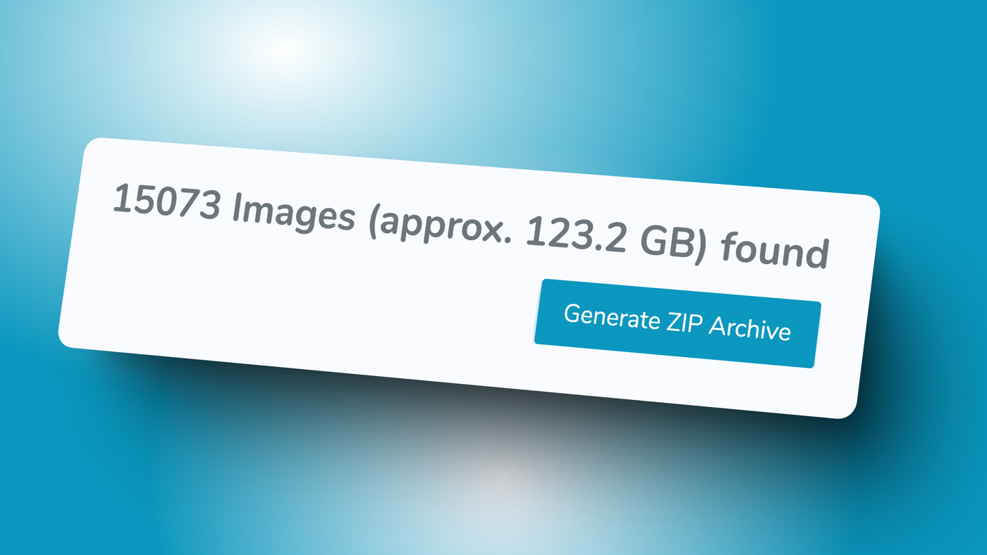 Bulk Image Download Feature