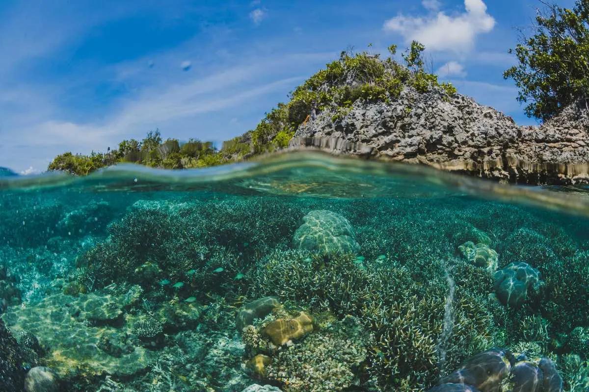 Watamu Coastal Escape