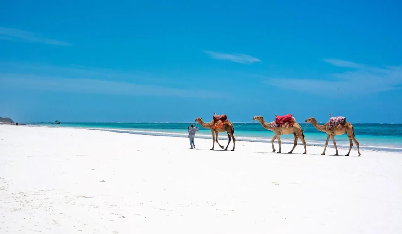 Diani Beach Holiday