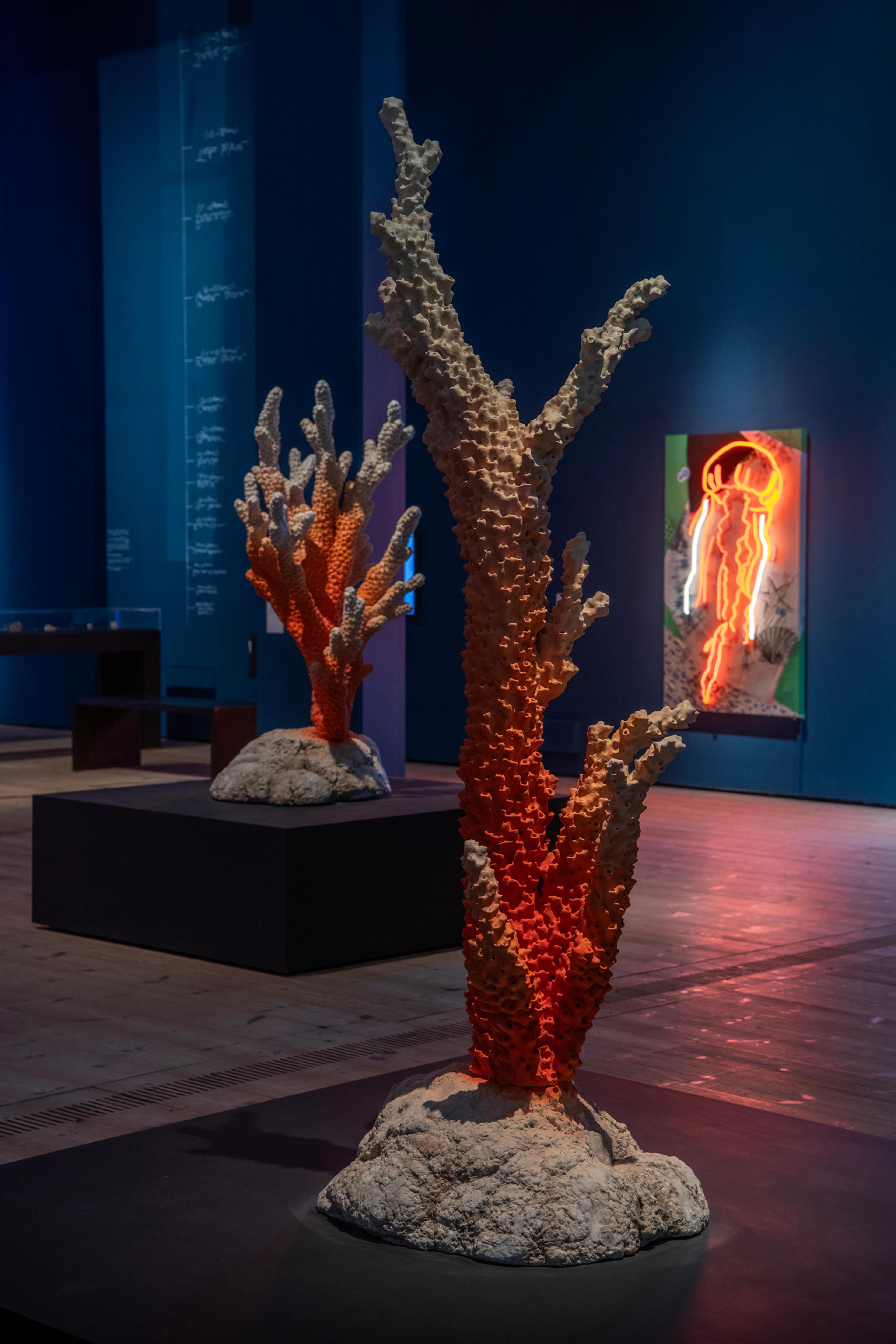 [object Object],[object Object],[object Object]