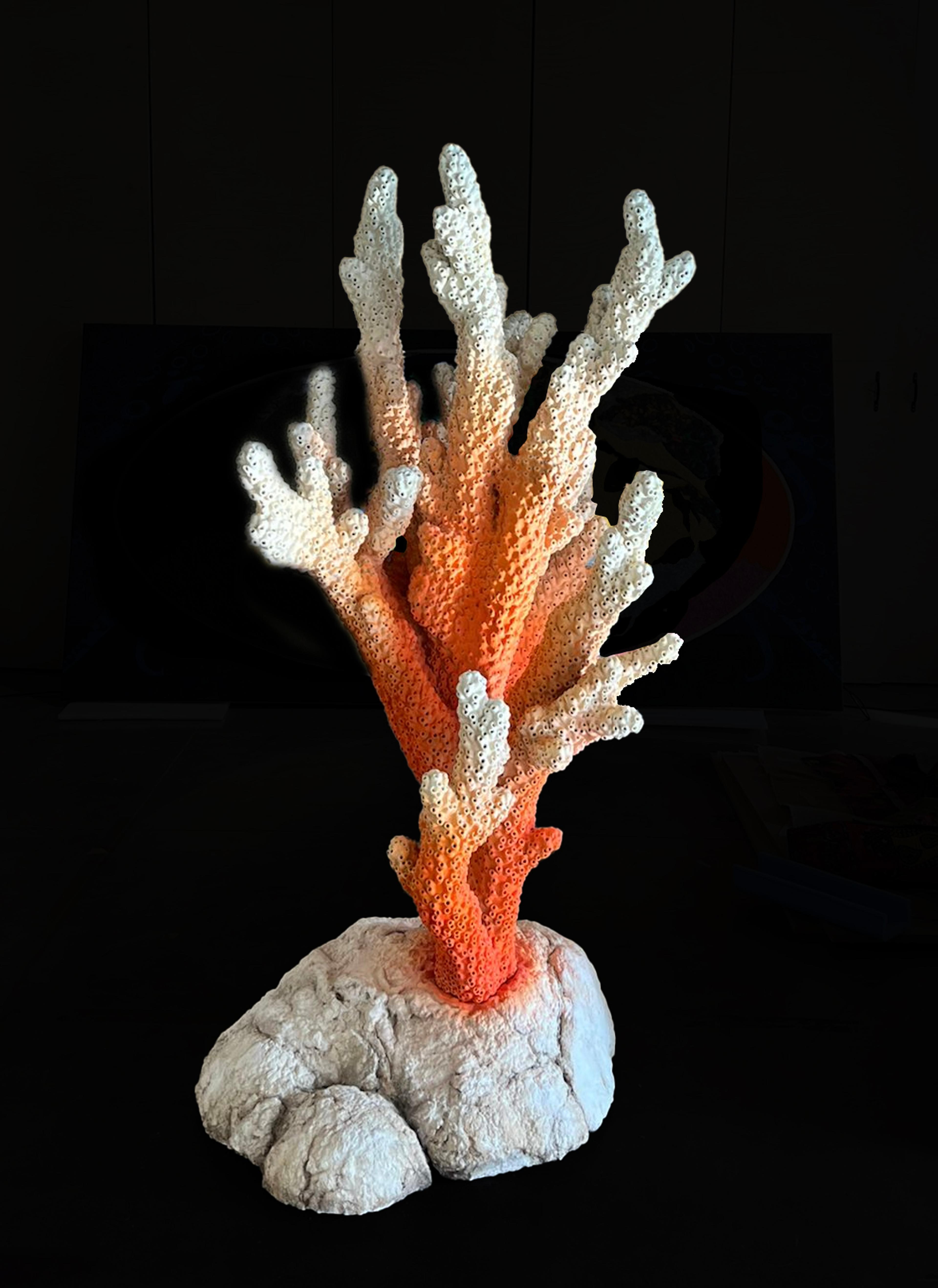 Ghost Reef III