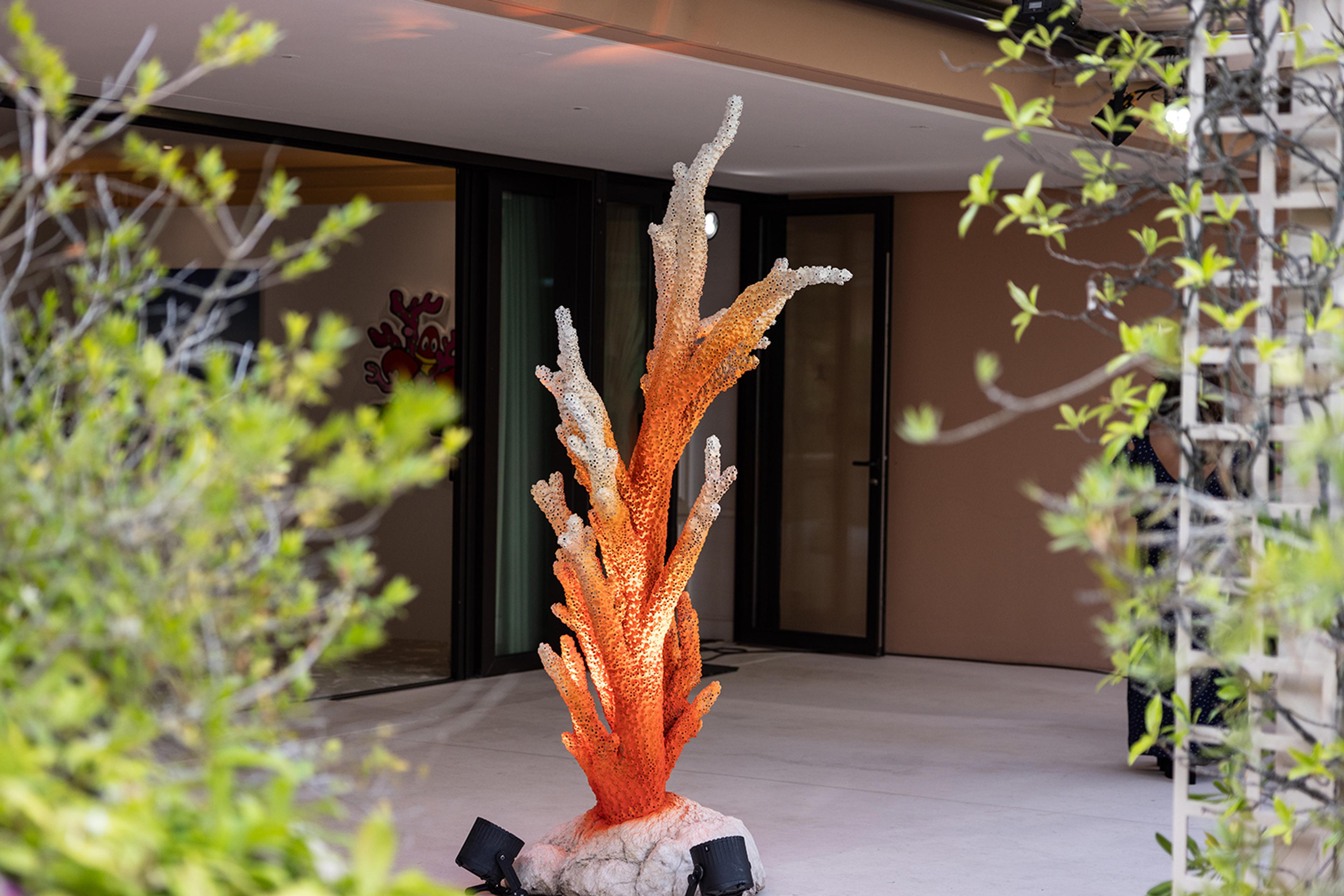 Thirty Six for Coral