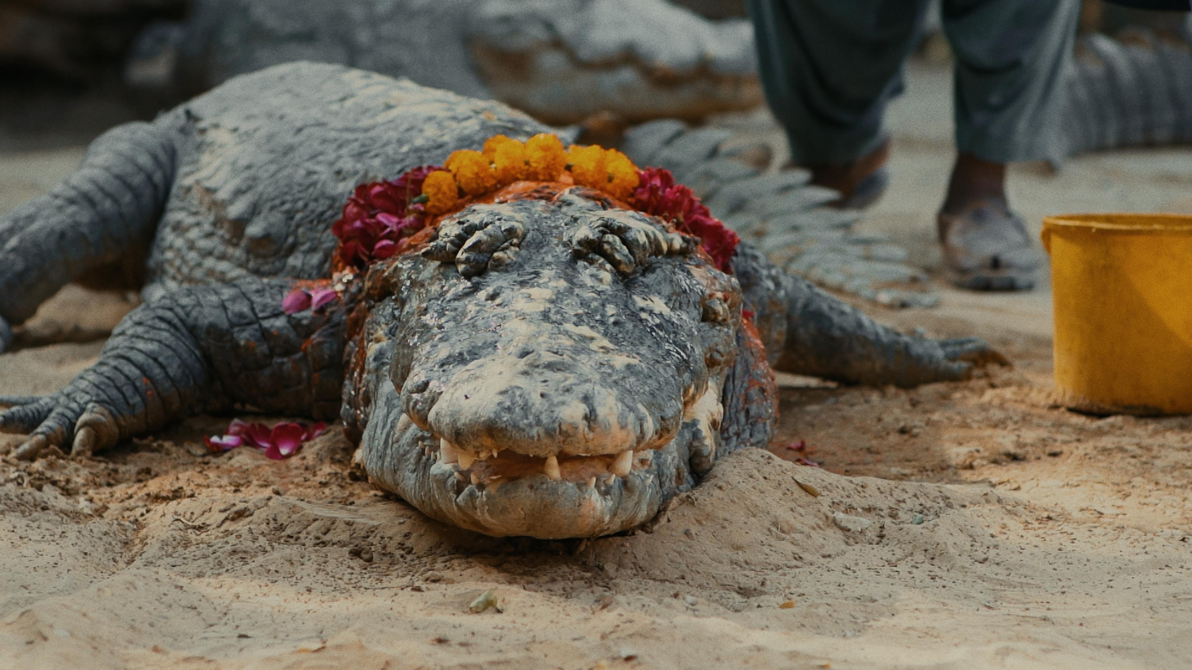 Leviathan Cycle, Episode 10: Encroachments - Ben, Tariq & Amina