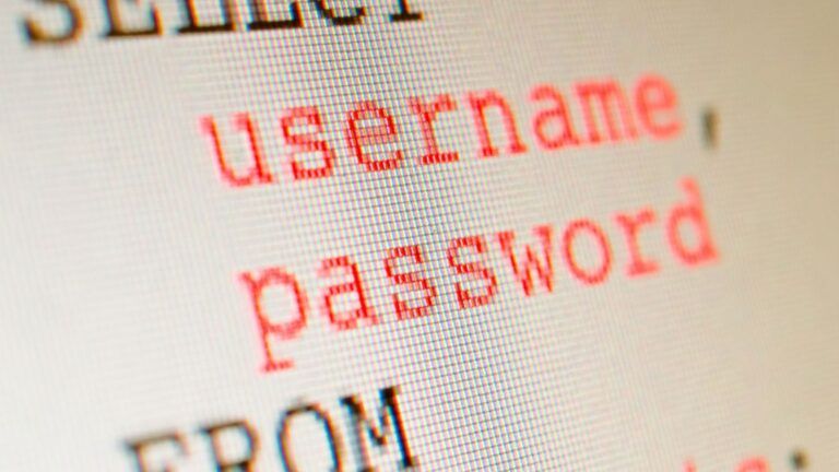Close-up of a screen displaying "username" and "password" in red text.