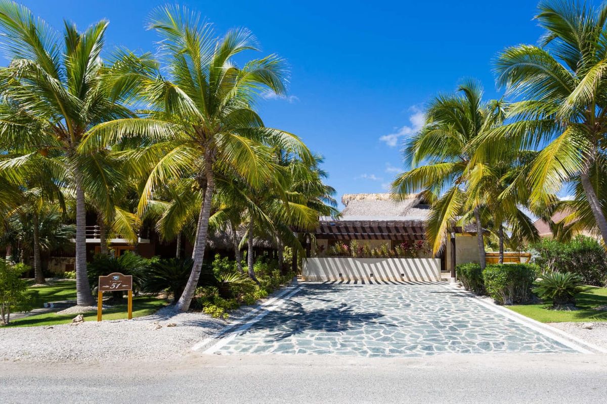 Stone driveway lined with palm trees leading to the thatched entrance of Villa Caletón 51