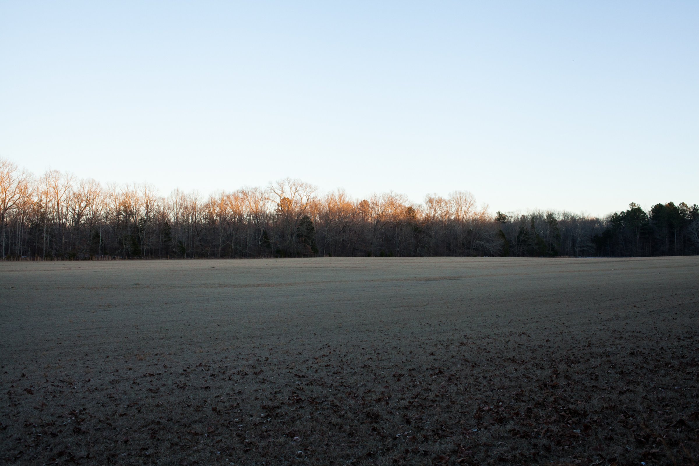 Shiloh — photograph by Shawne Brown
