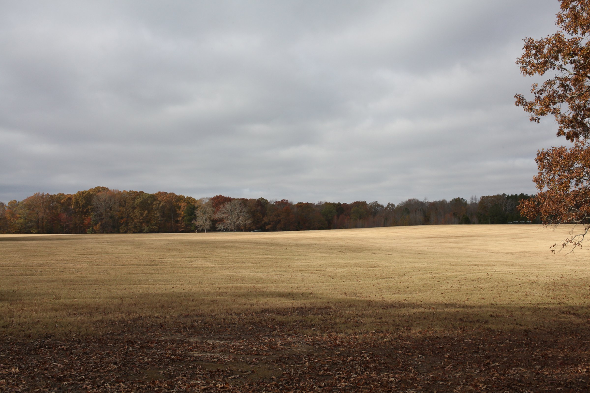 Shiloh — photograph by Shawne Brown