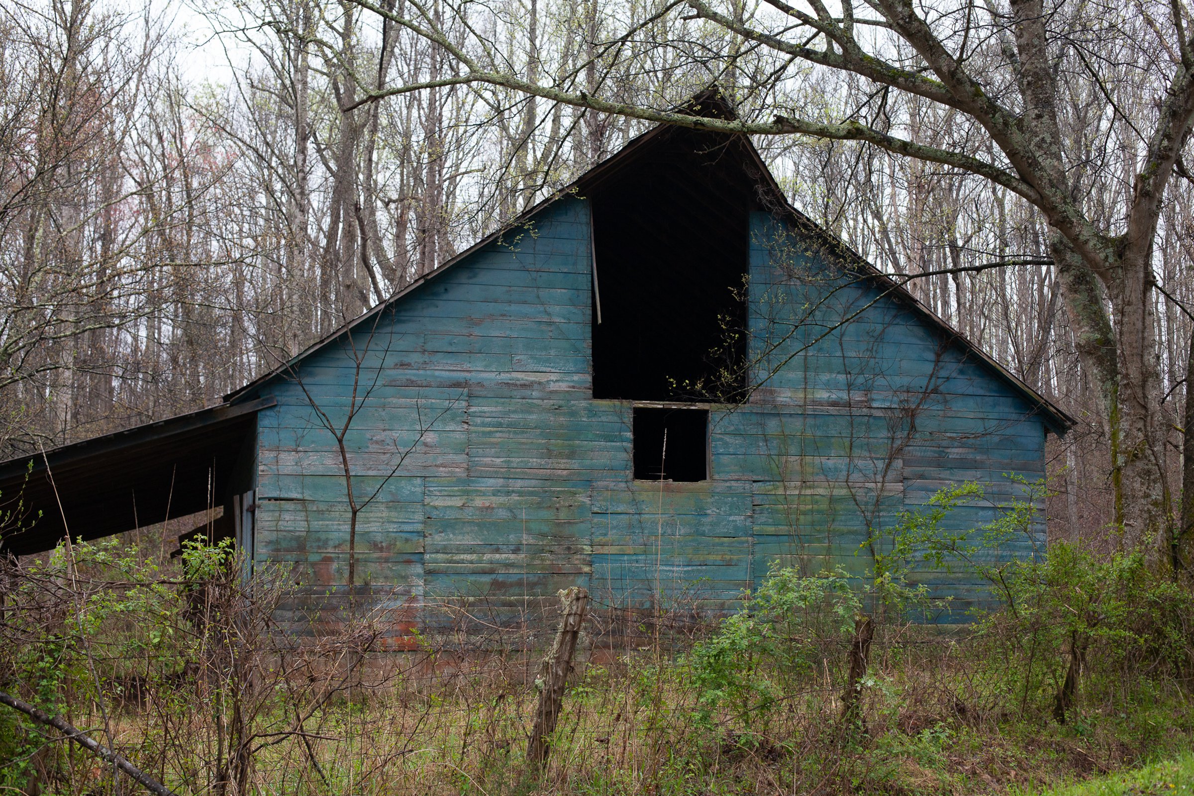 Evening Land, Music City — photograph by Shawne Brown