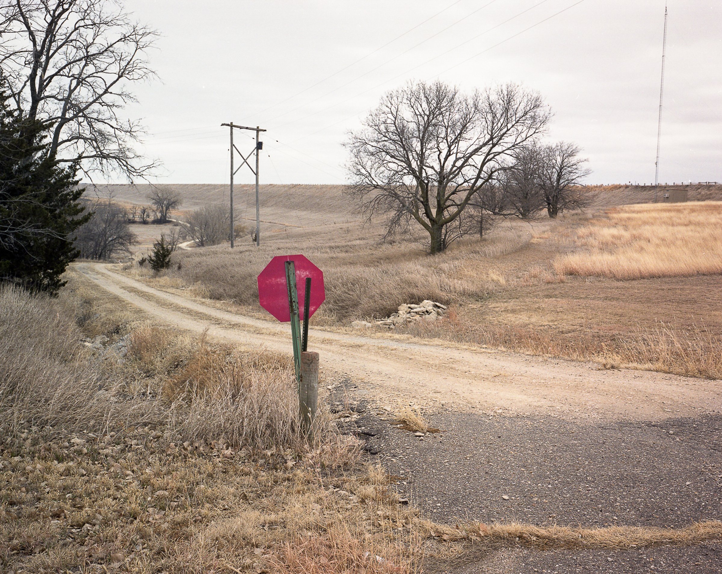 See the Elephant — photograph by Shawne Brown