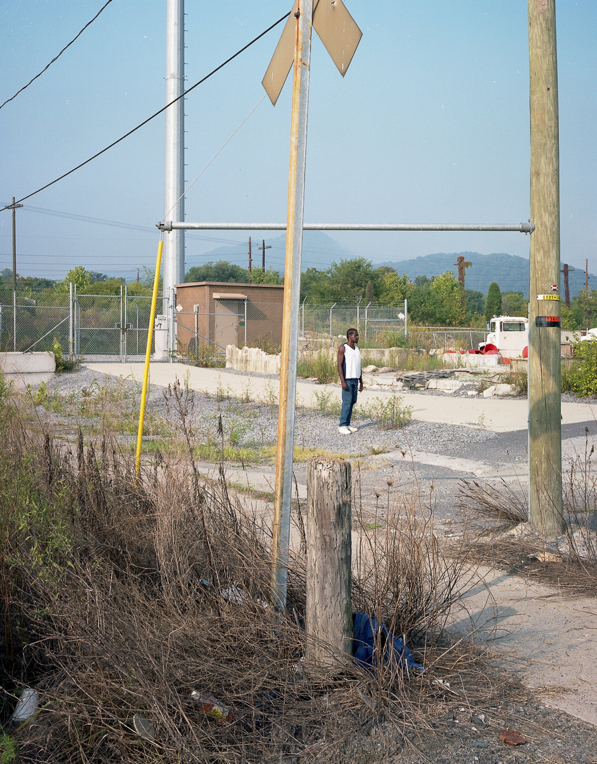 See the Elephant — photograph by Shawne Brown