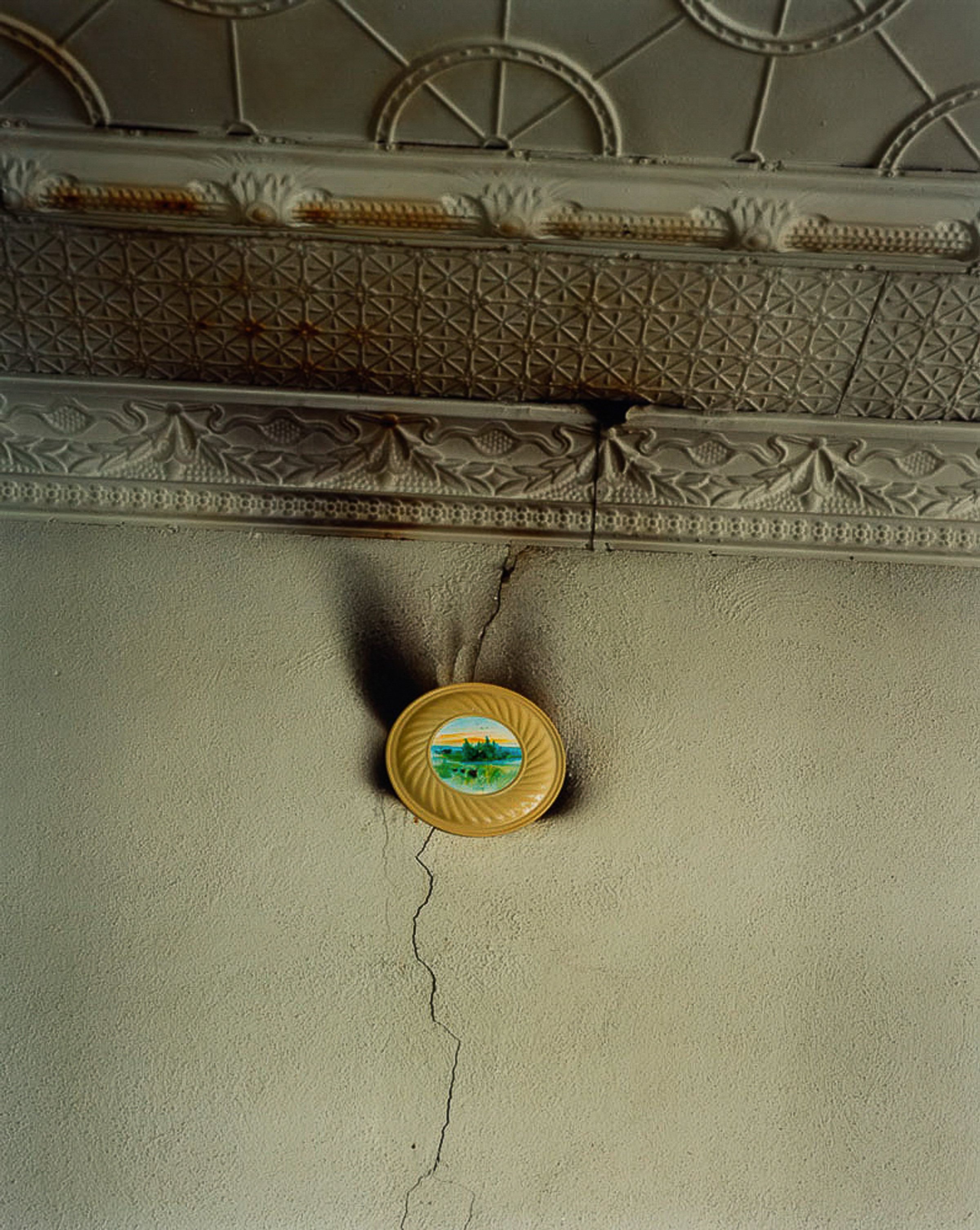 See the Elephant — photograph by Shawne Brown