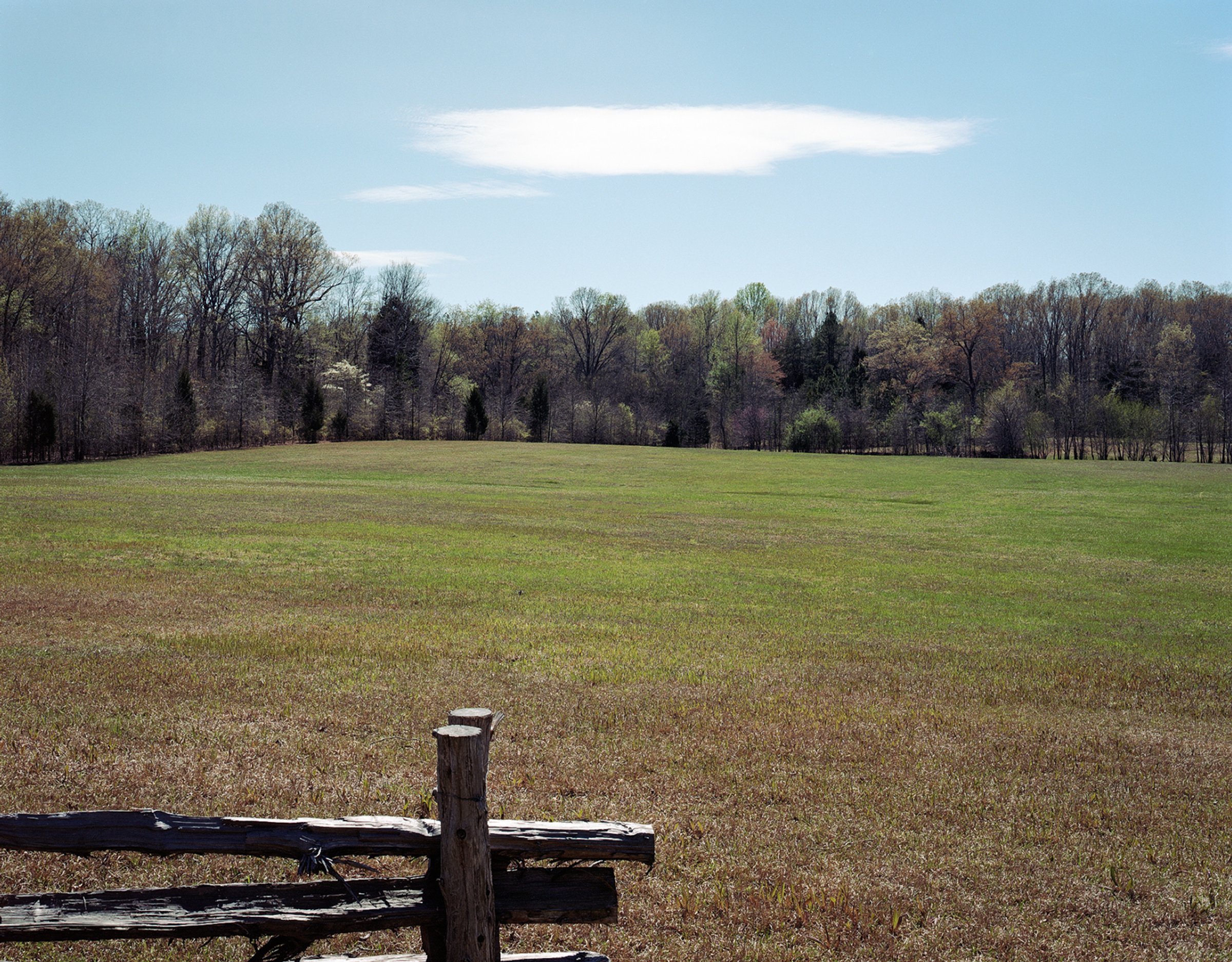 Shiloh — photograph by Shawne Brown