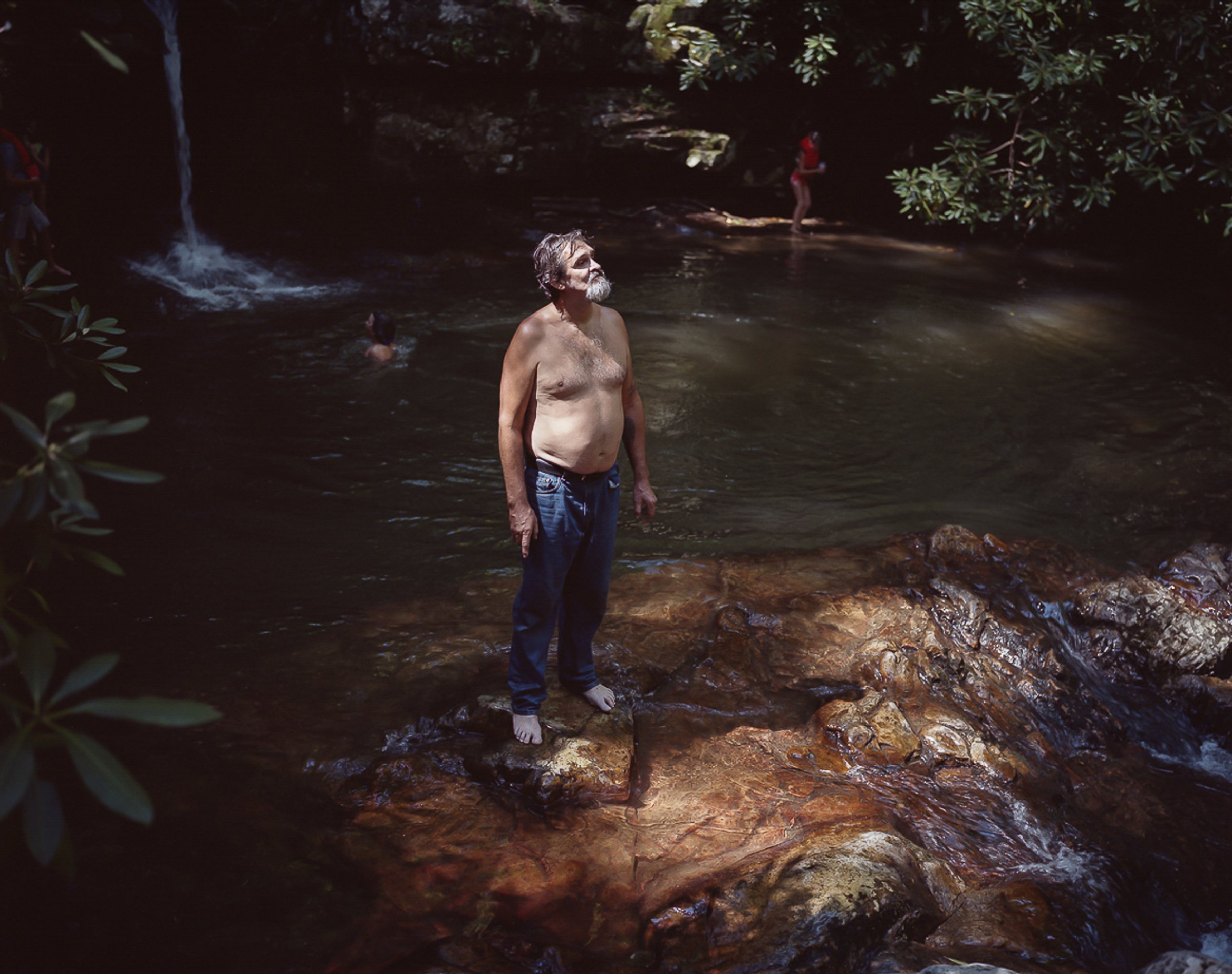 See the Elephant — photograph by Shawne Brown