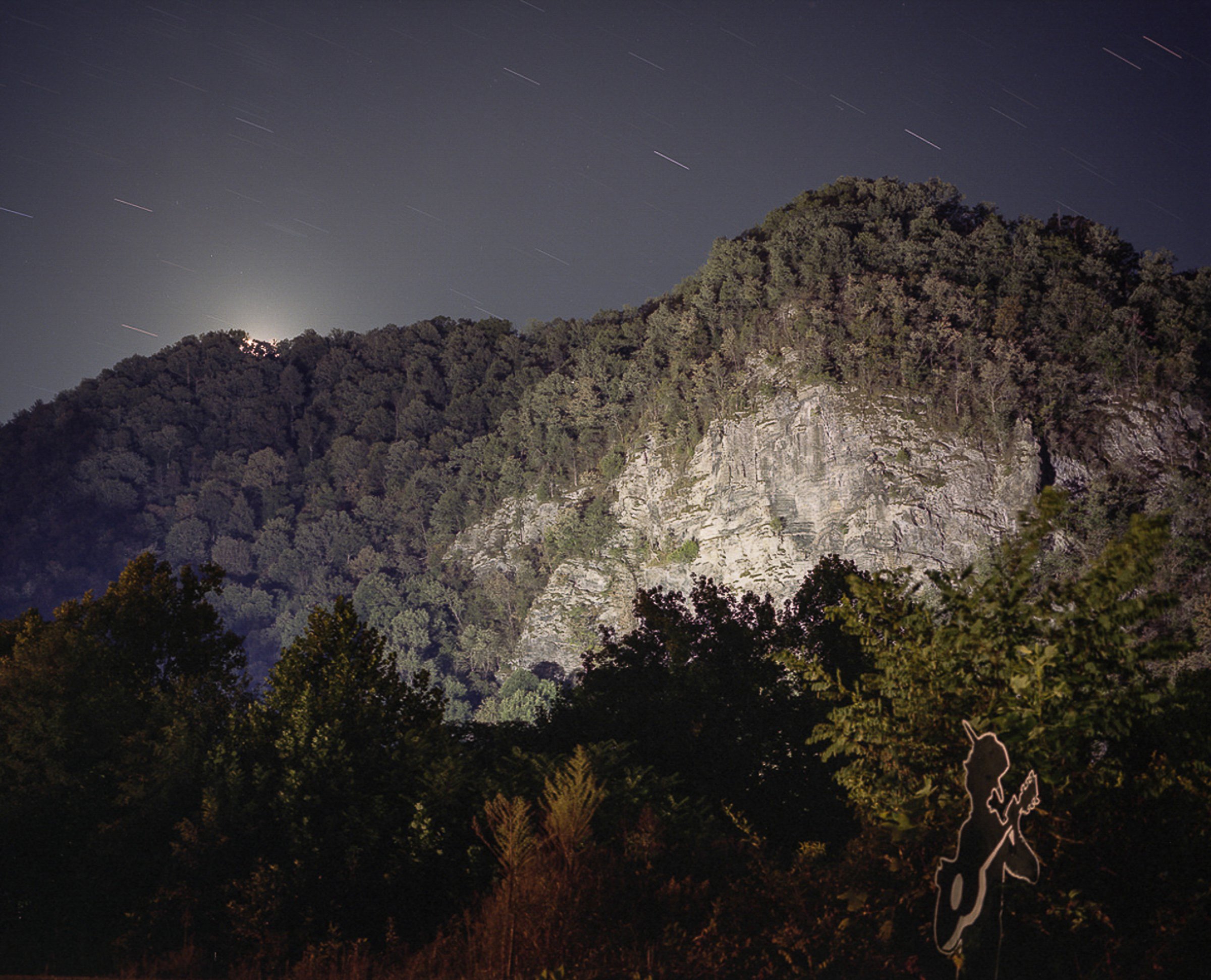 See the Elephant — photograph by Shawne Brown