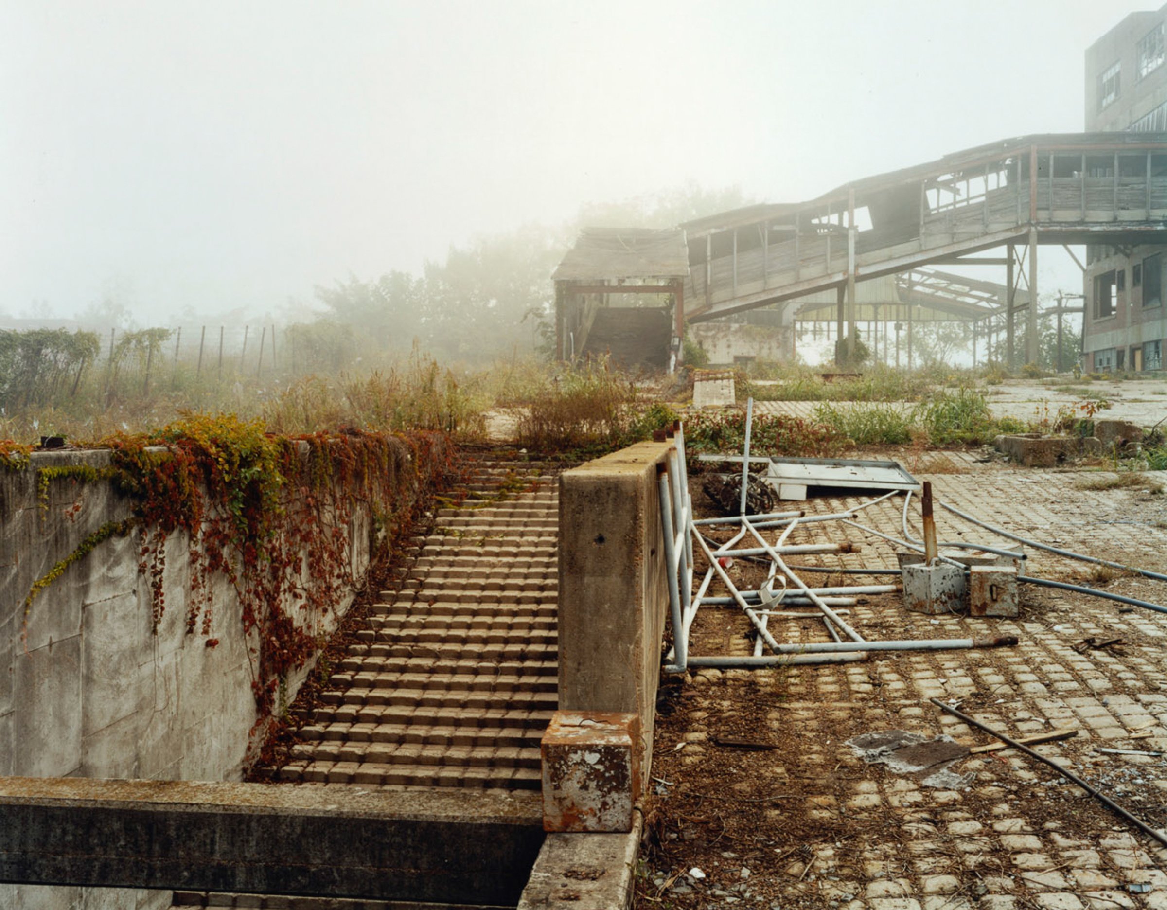 Neuhoff Archive — photograph by Shawne Brown