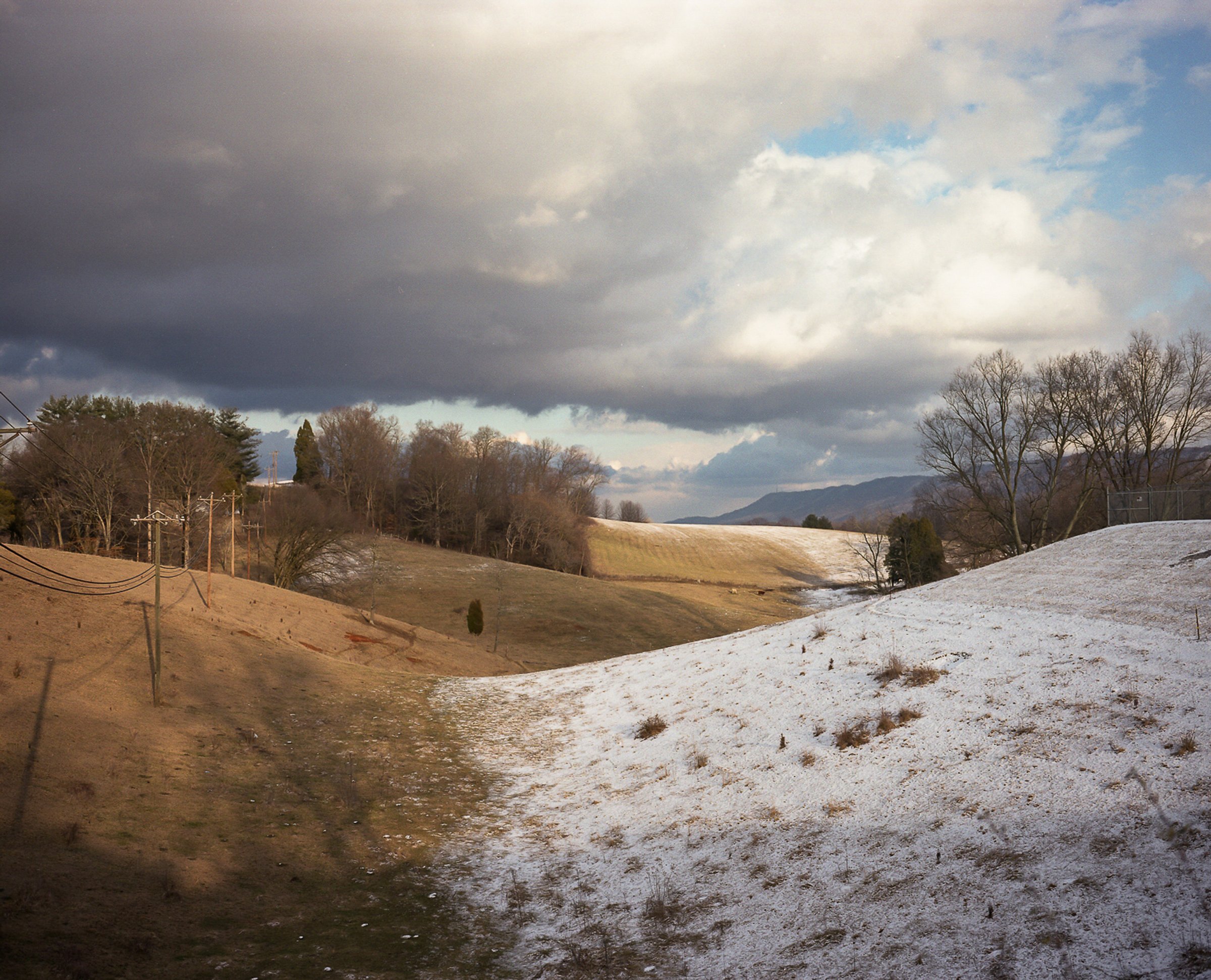 See the Elephant — photograph by Shawne Brown