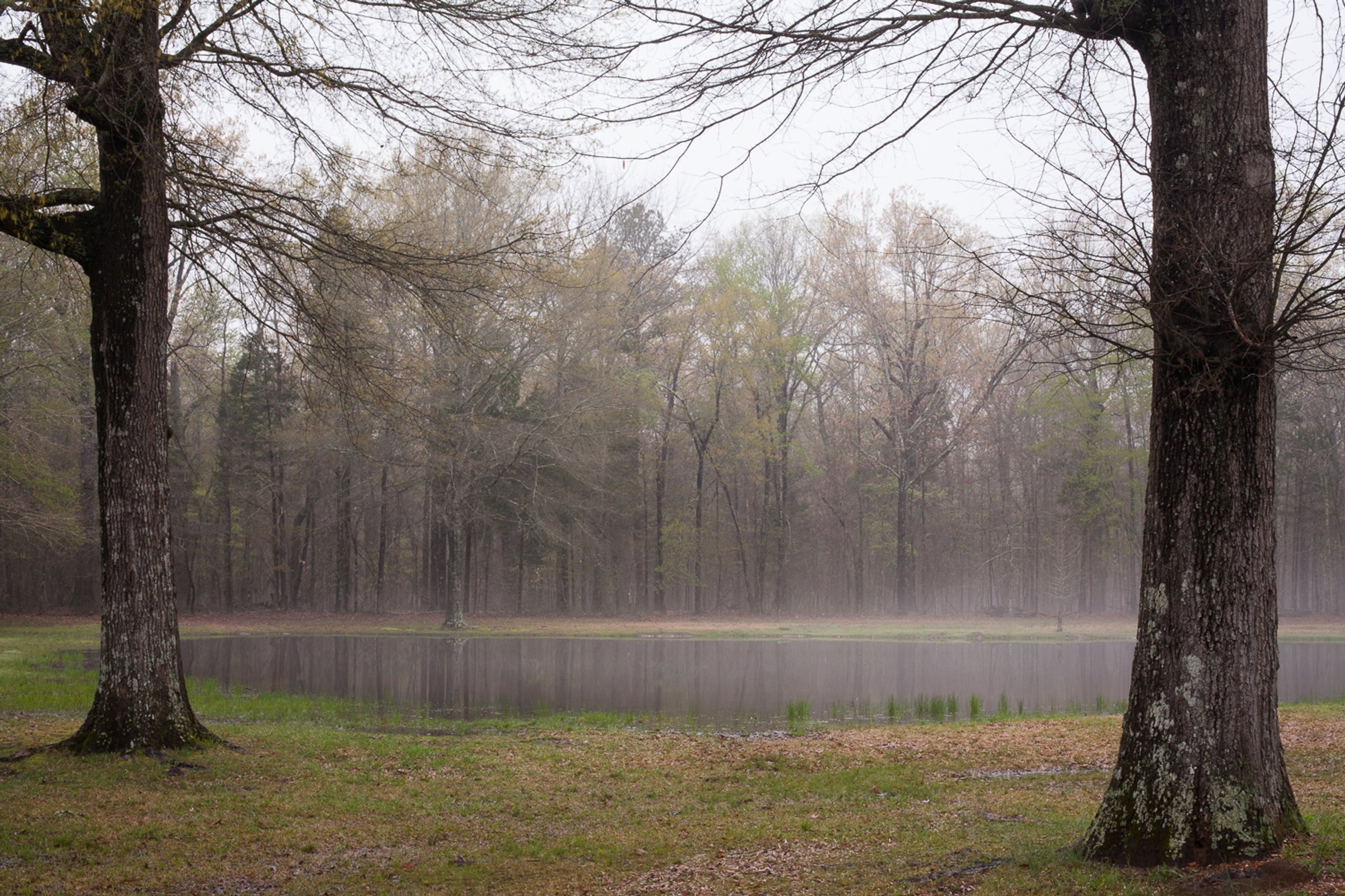 Shiloh — photograph by Shawne Brown