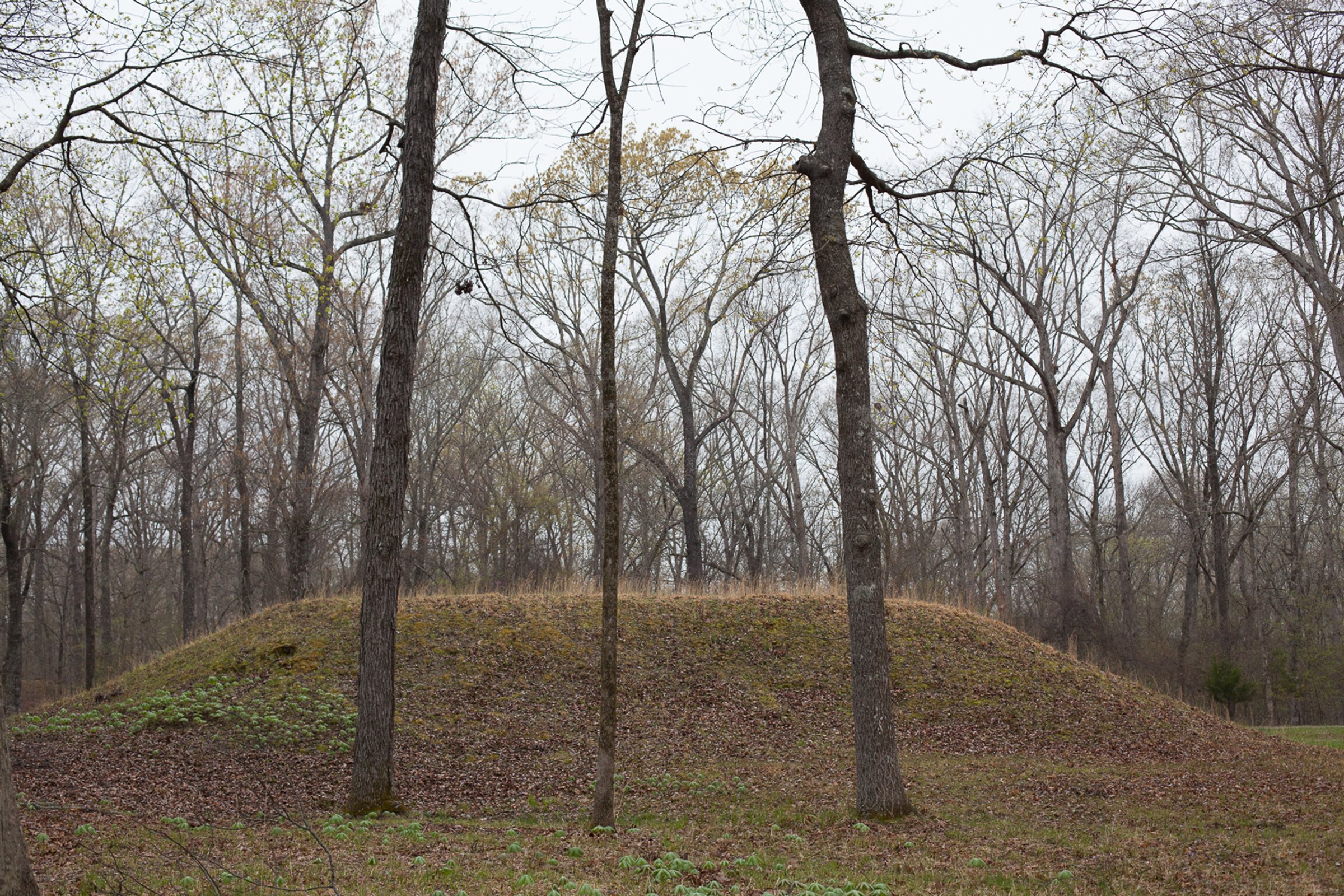 Shiloh — photograph by Shawne Brown