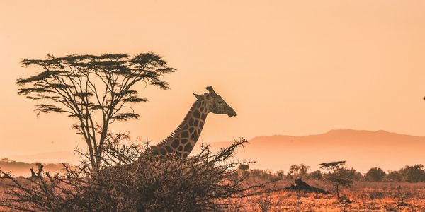 Best Time to Visit Kruger National Park