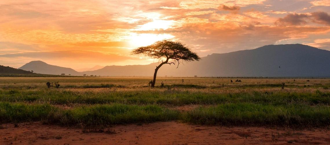 The Big Five: A Guide to Africa's Most Iconic Wildlife
