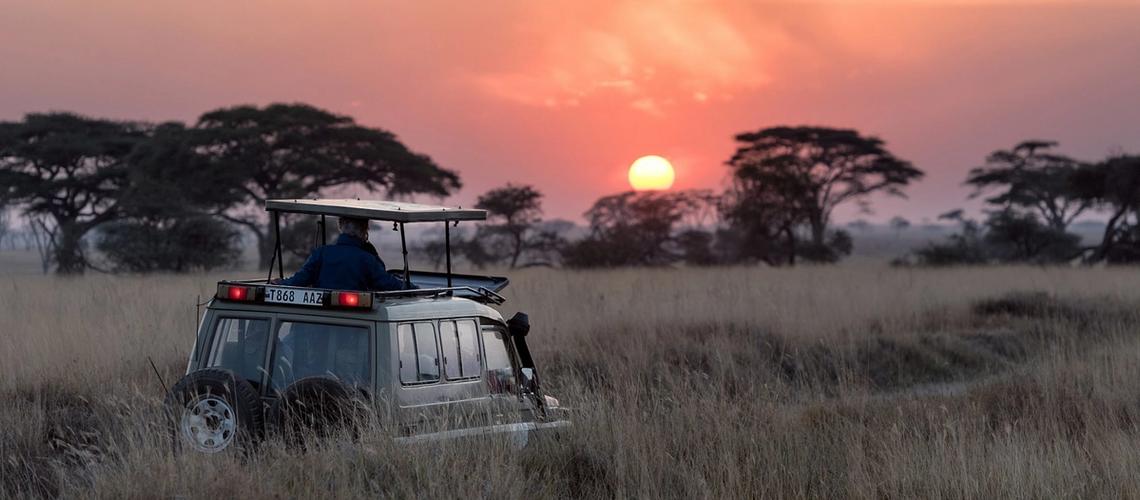 The Klaserie Private Nature Reserve: A Local's Guide