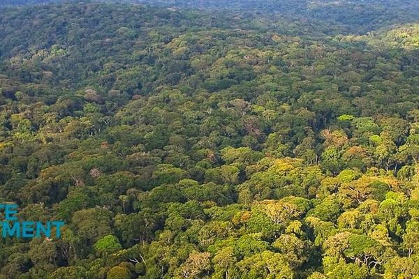  Climate Investment Funds