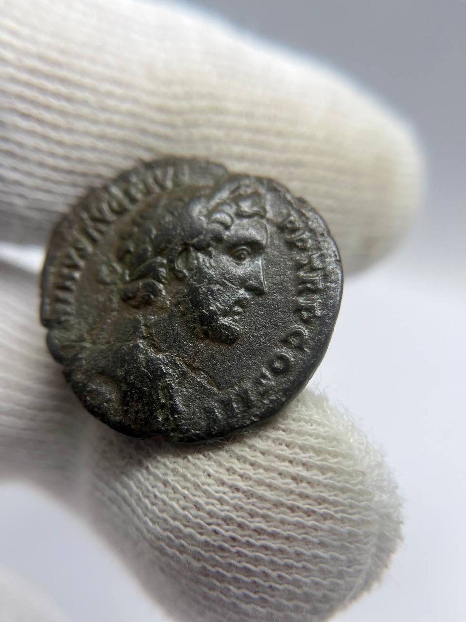 Asse di Antonino Pio - view 3