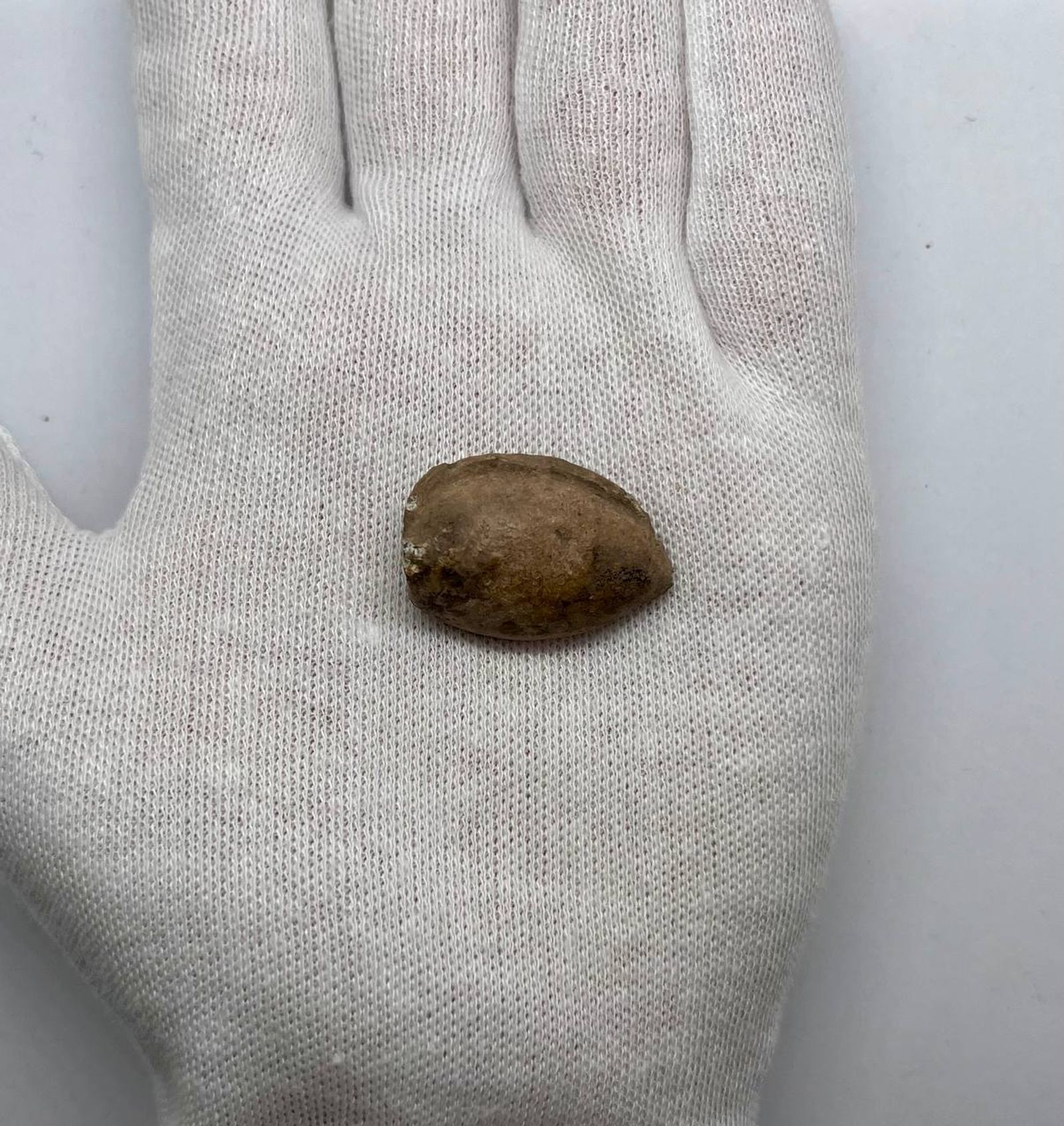 Ghiande Missile con Esergo "ROMA" - view 2