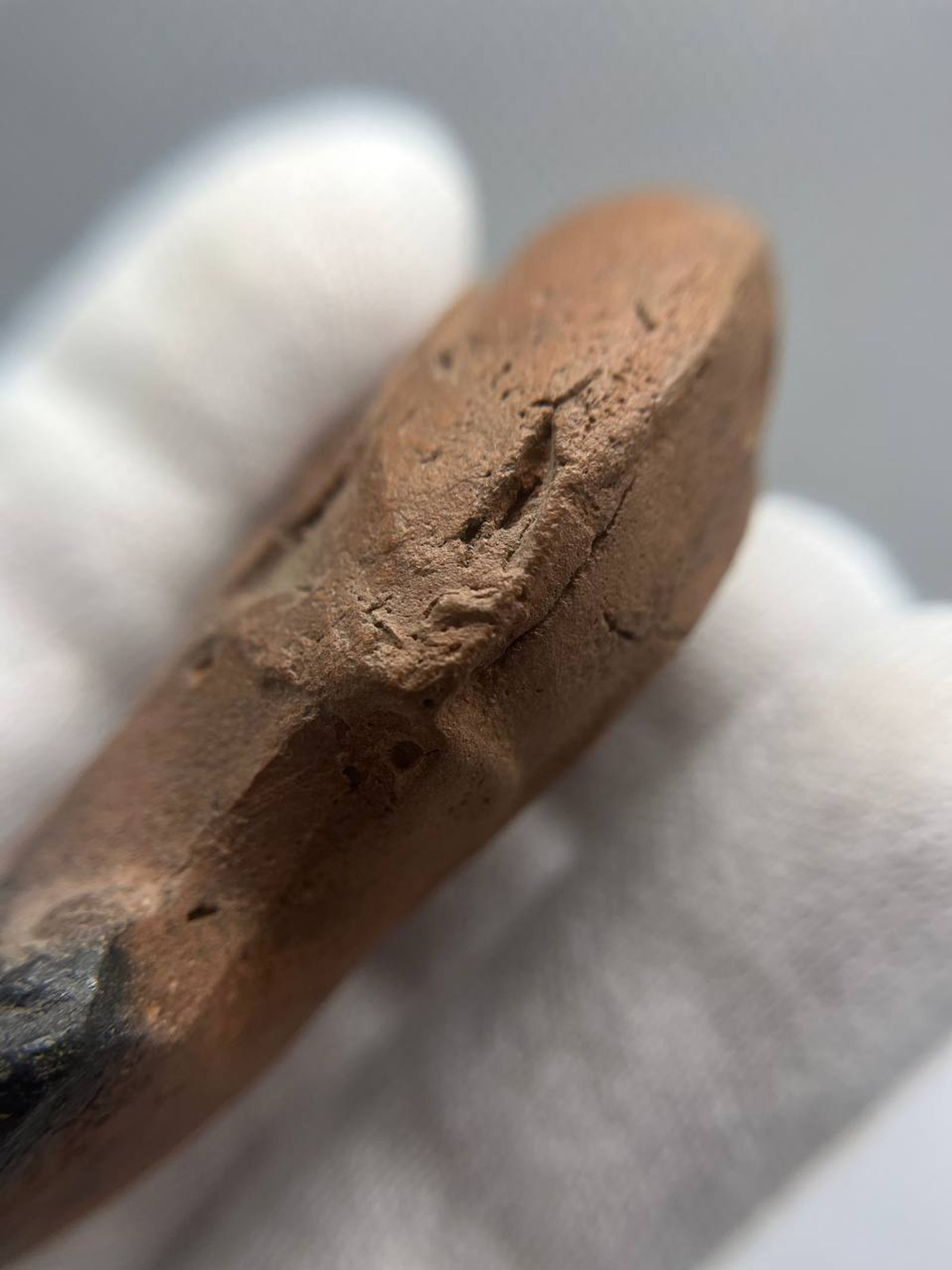 Lucerna Romana tipo Loeschcke I A - view 5