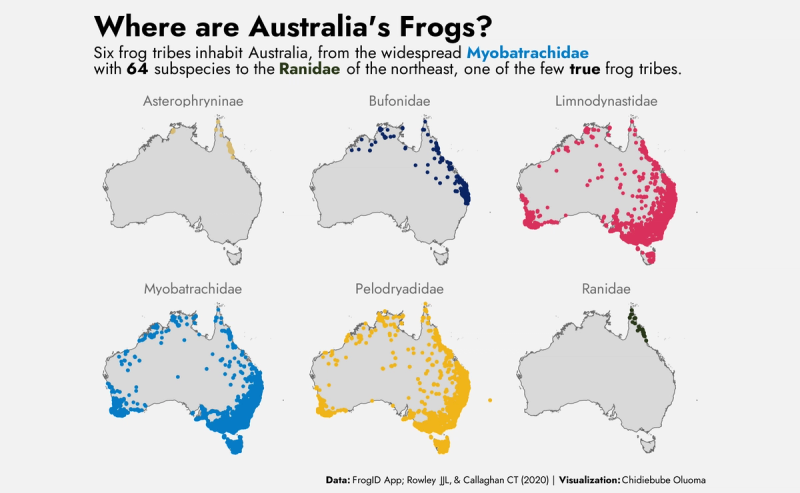Australian Frogs