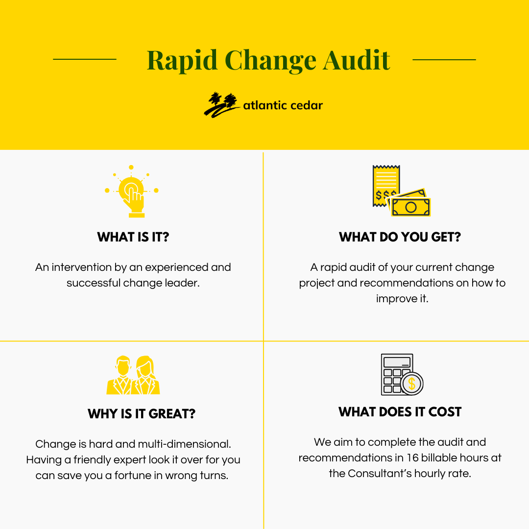 Rapid Change Audit