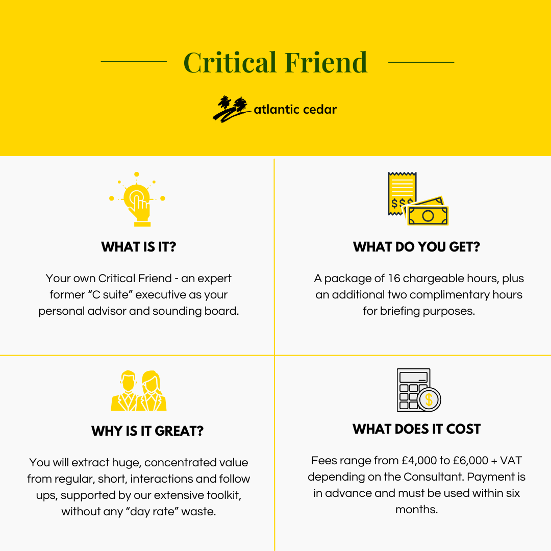 Critical Friend