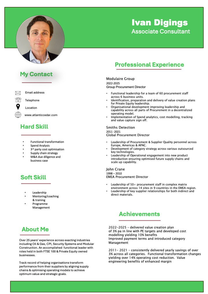 Ivan Digings CV