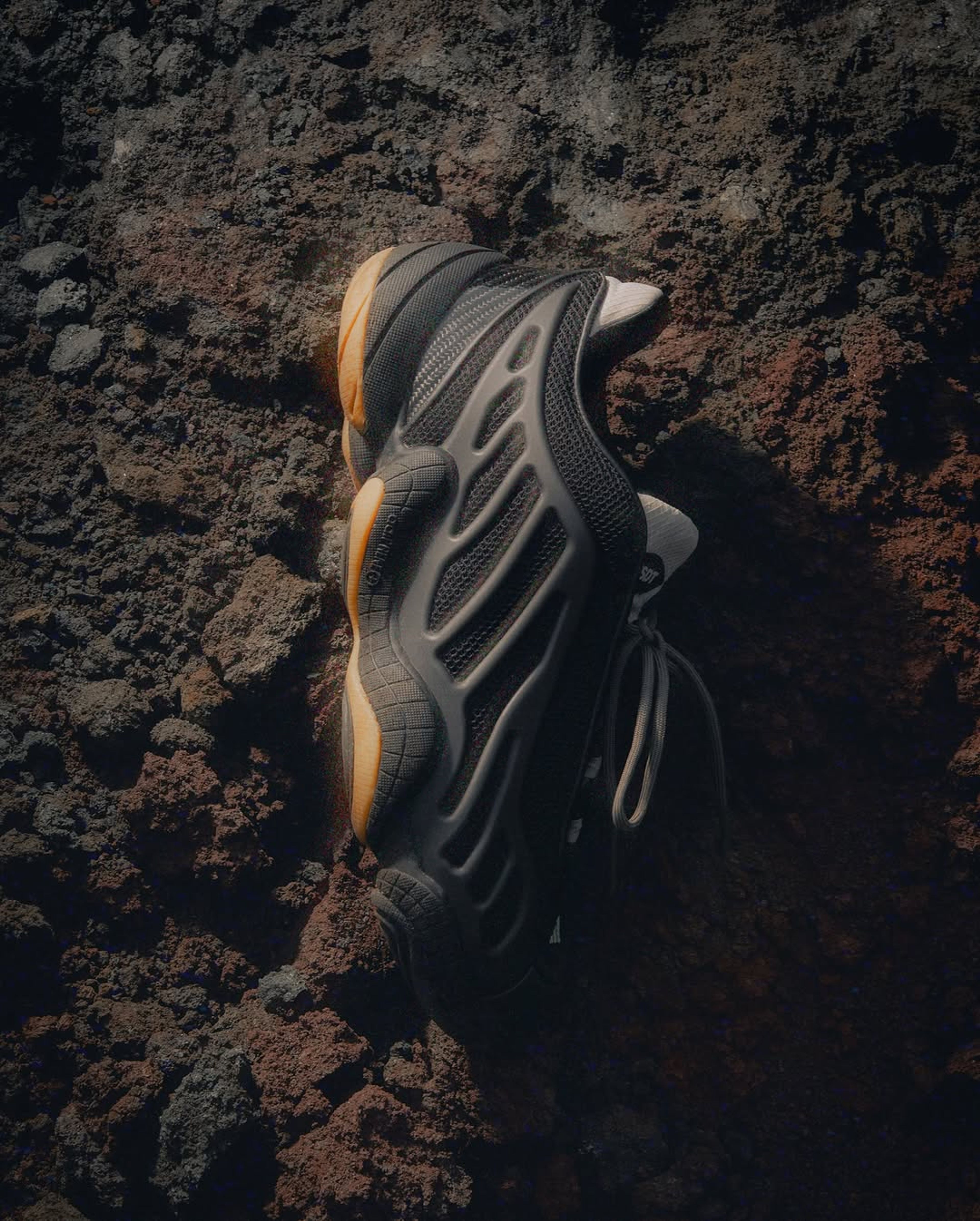adidas×HAL STUDIOS