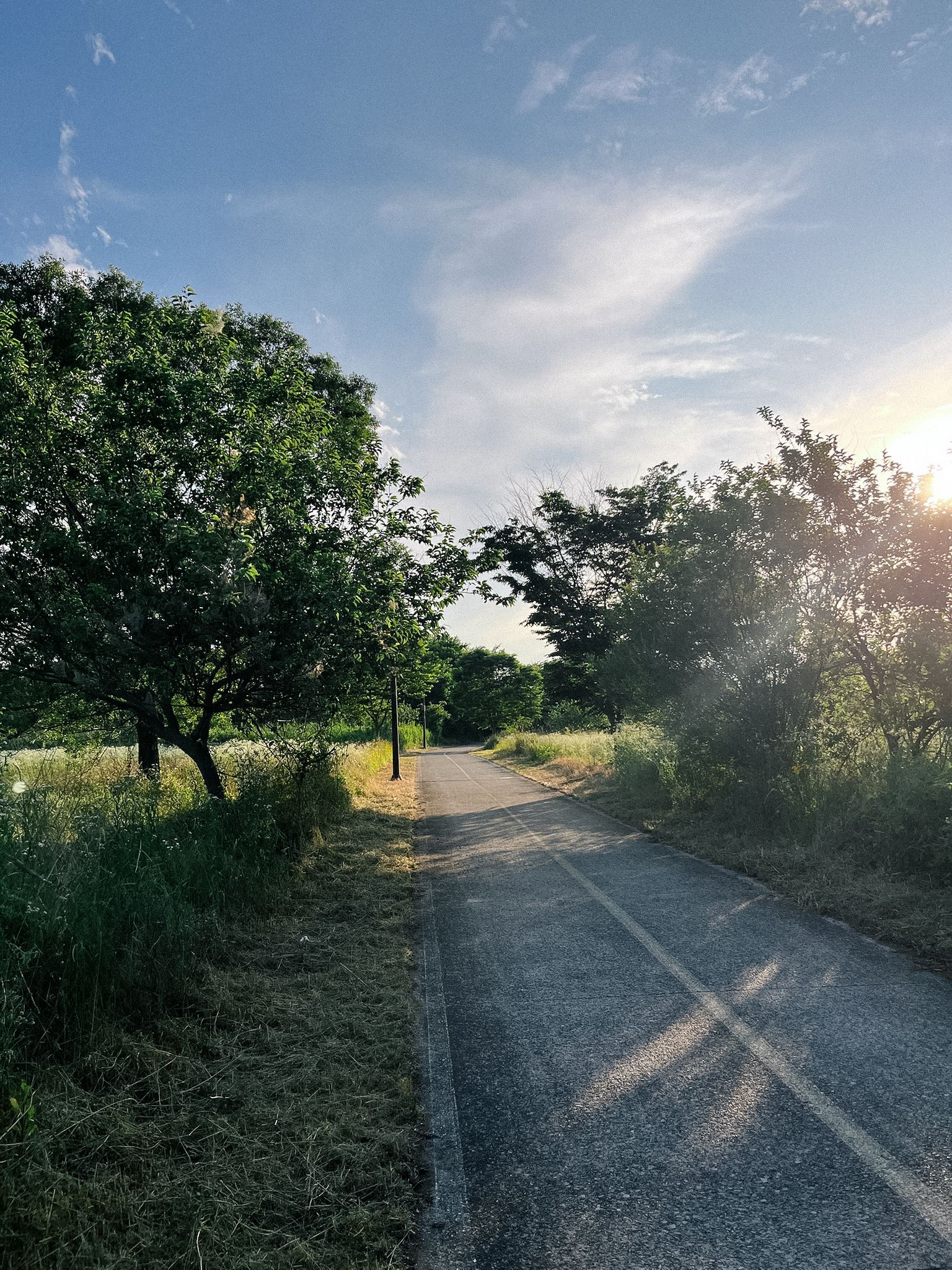 숲을 지나는 도로