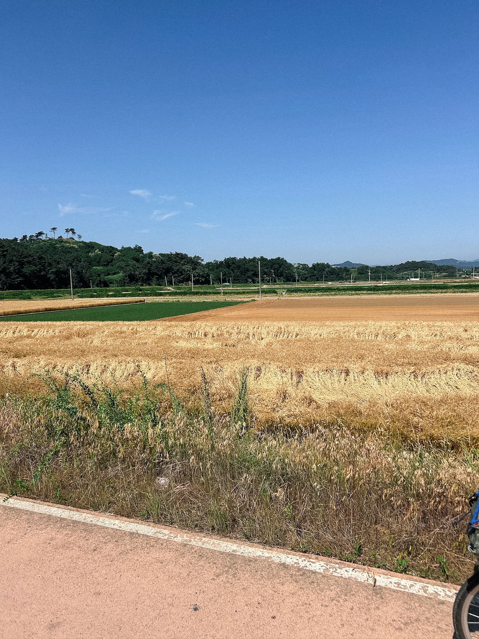 상주 자전거도로 풍경