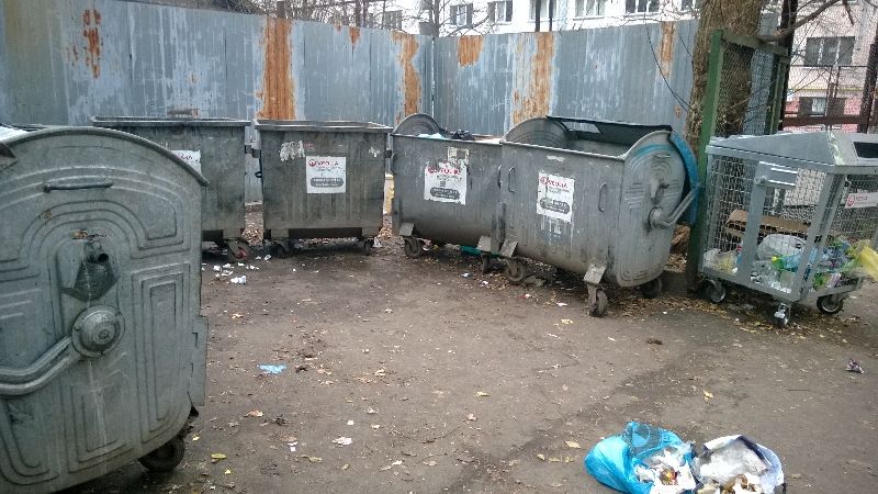 Уличные крысы в Киеве