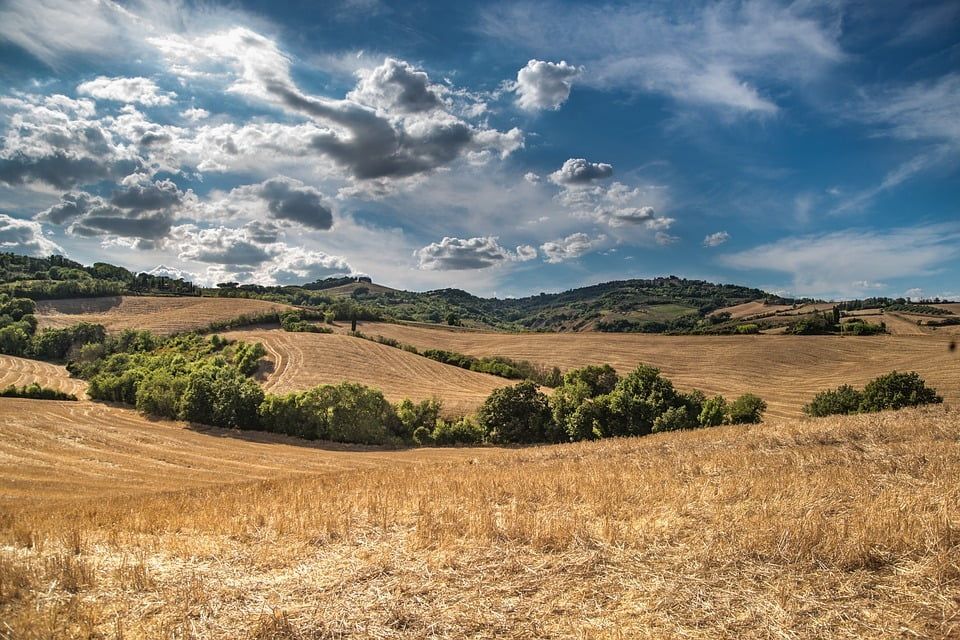 Устройство и принцип действия пресс-подборщика ПРП-80