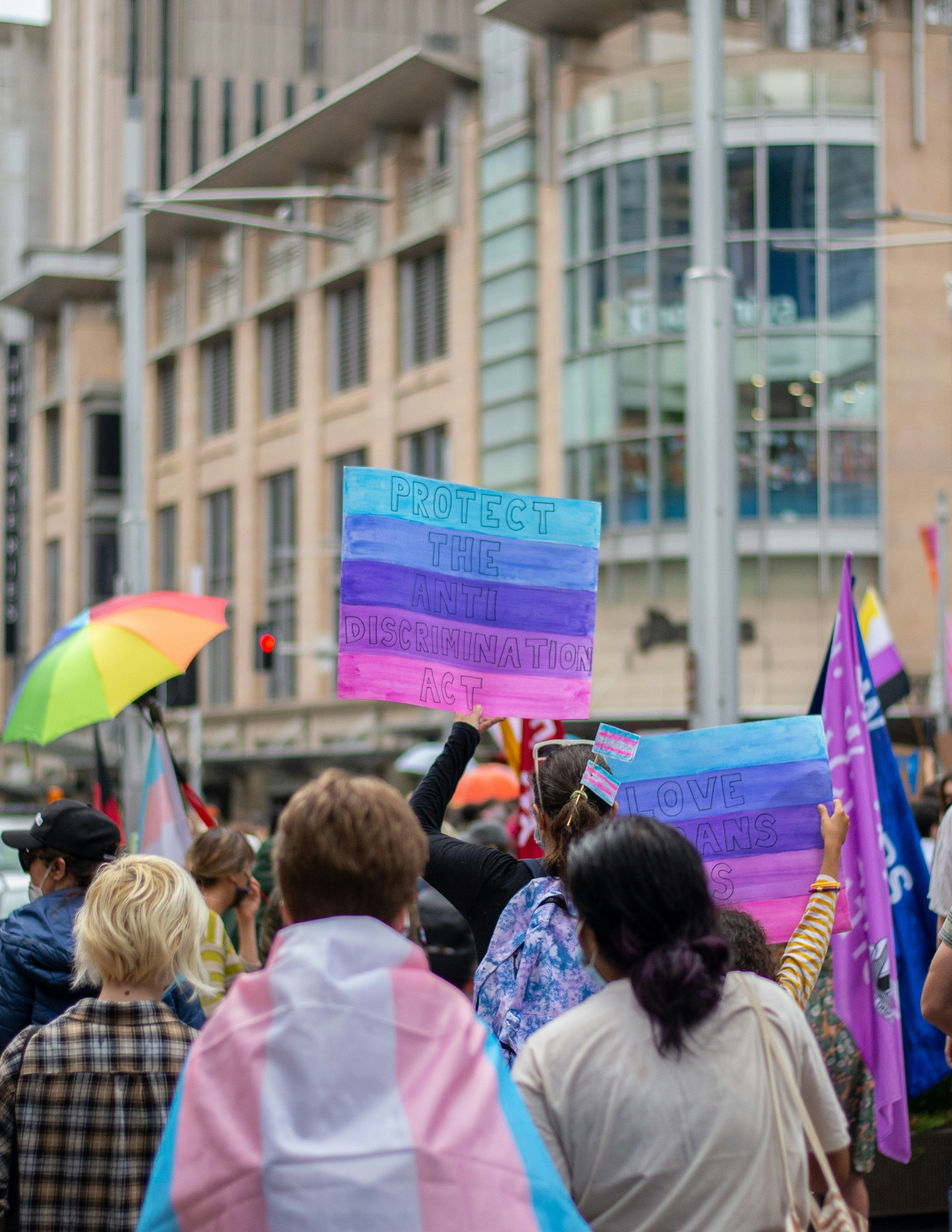 people carry trans rights flags