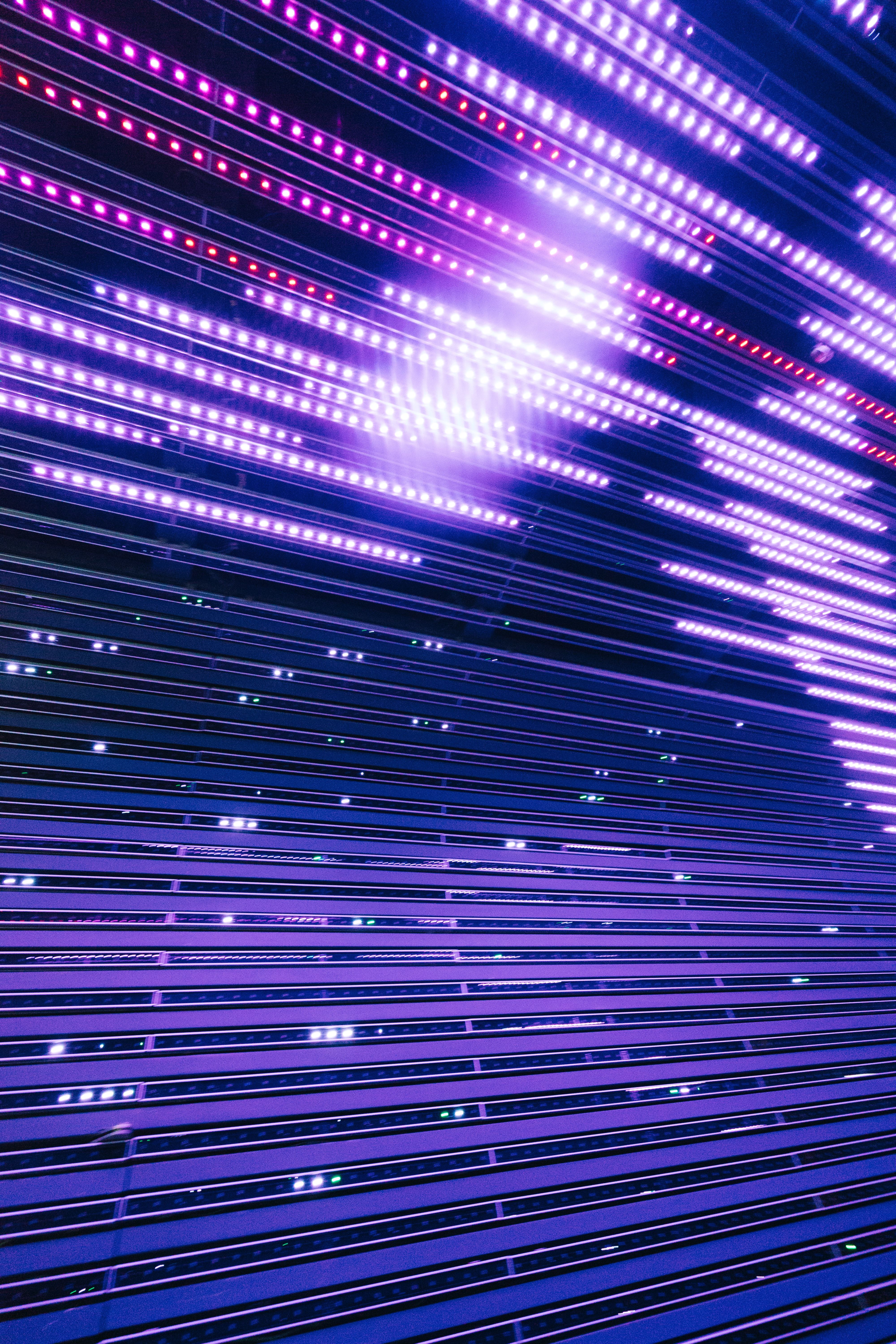 Purple techy lights