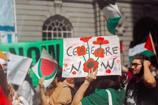 a person holds a sign covered with flowers that reads "ceasefire now"