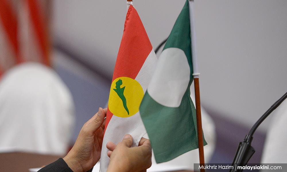 Pakat Rasmi Umno-PAS Lebih Berdaya Maju Tanpa Bersatu, Kata Penganalisis