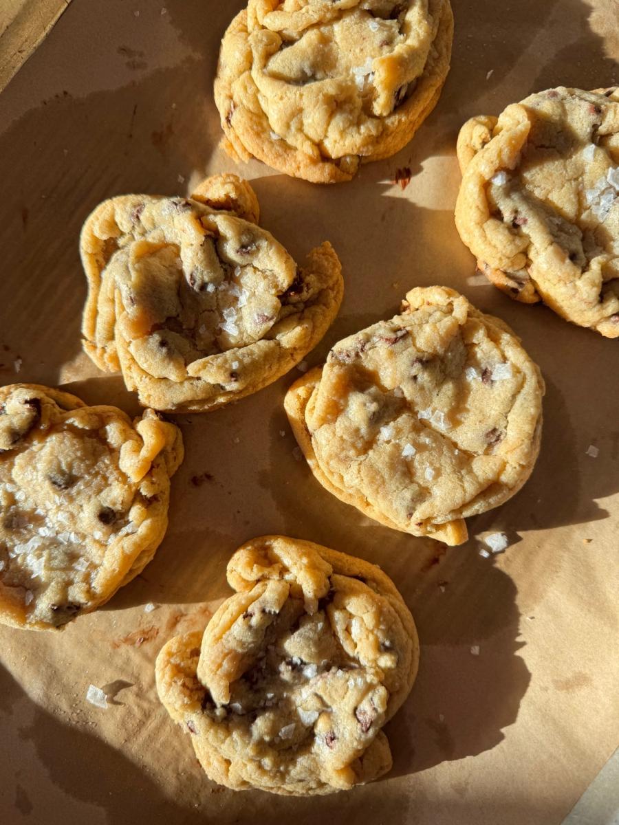 Take and Bake Chocolate Chip Cookies (6)