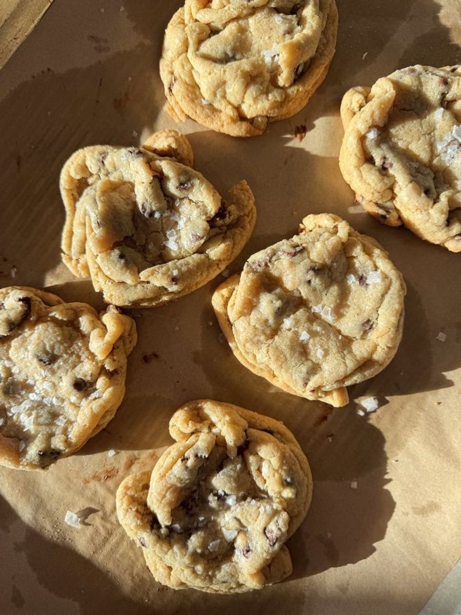 Chocolate chip cookies fresh from the oven