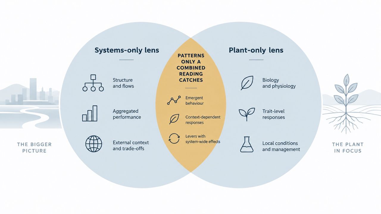Two Lenses, One Reading