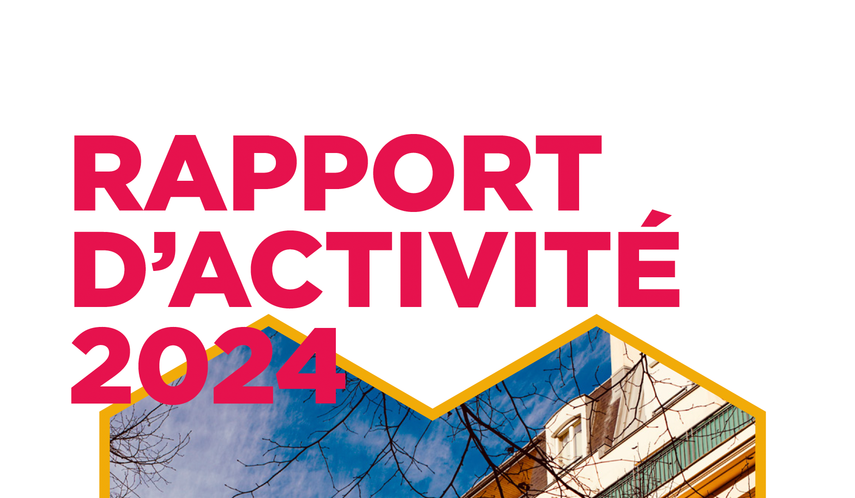 Rapport d’activité 2024 de l’ONV (Opérateur National de Vente)